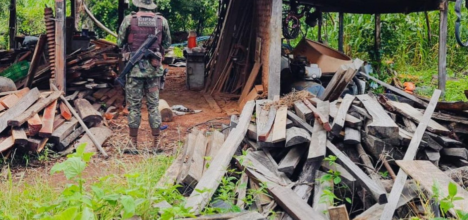 Polícia descobre fábrica clandestina com extração de madeira em extinção