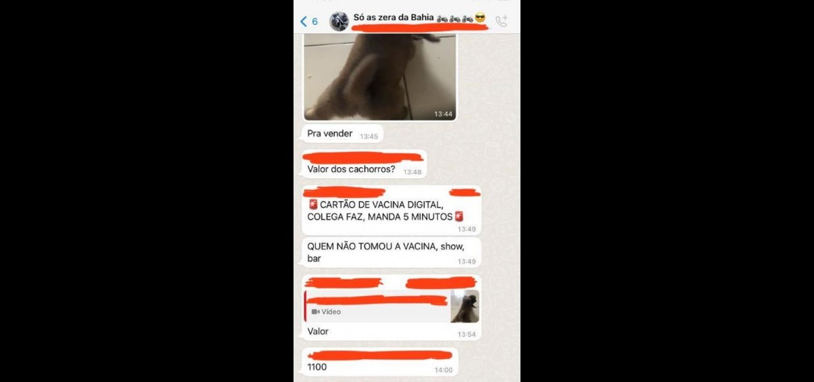 Homem anuncia venda de cartão de vacina em grupo de WhatsApp da Bahia