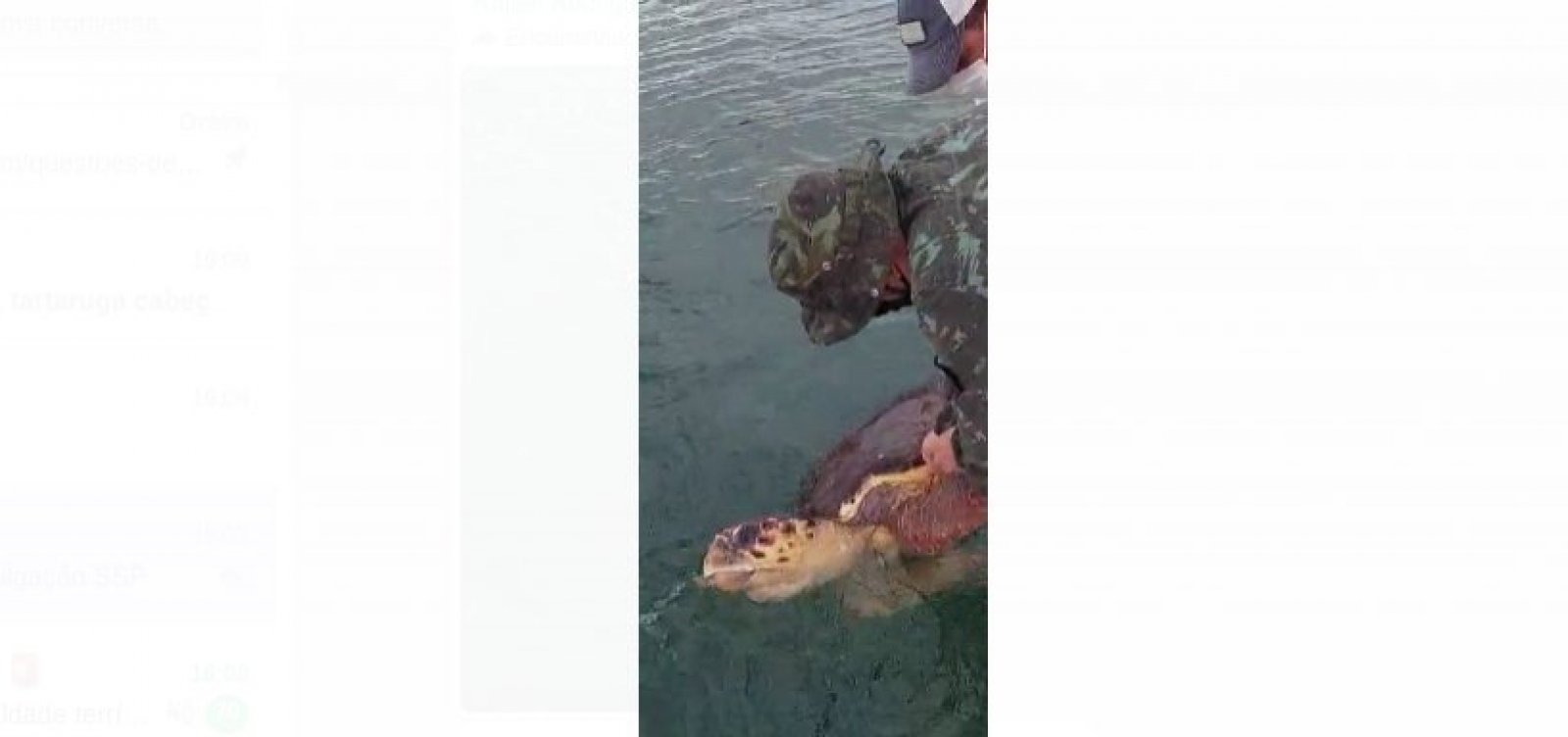 Policiais da Coppa salvam tartaruga cabeçuda que ficou presa em rede de pesca