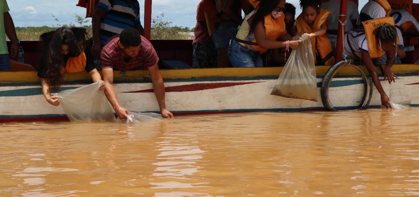 Codevasf realiza ação com 60 mil peixes para repovoar Rio São Francisco