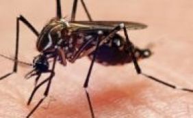 Governo americano confirma três novos casos de Zika no Texas