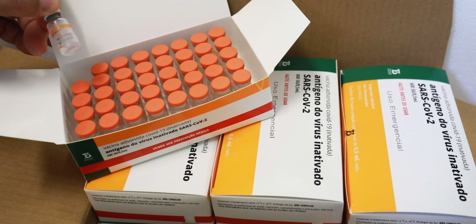 Butantan entrega 10 milh&otilde;es de doses de CoronaVac para vacina&ccedil;&atilde;o de crian&ccedil;as