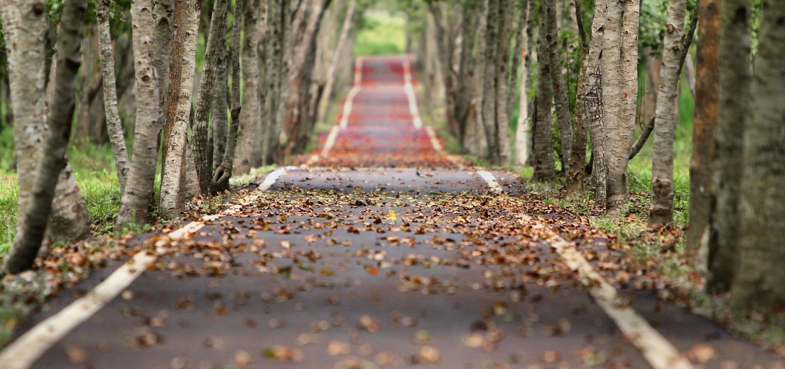 Outono come&ccedil;a neste domingo com previs&atilde;o de chuvas acima da m&eacute;dia no Nordeste