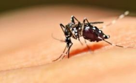 Zika é detectado pela primeira vez na Espanha em mulher grávida