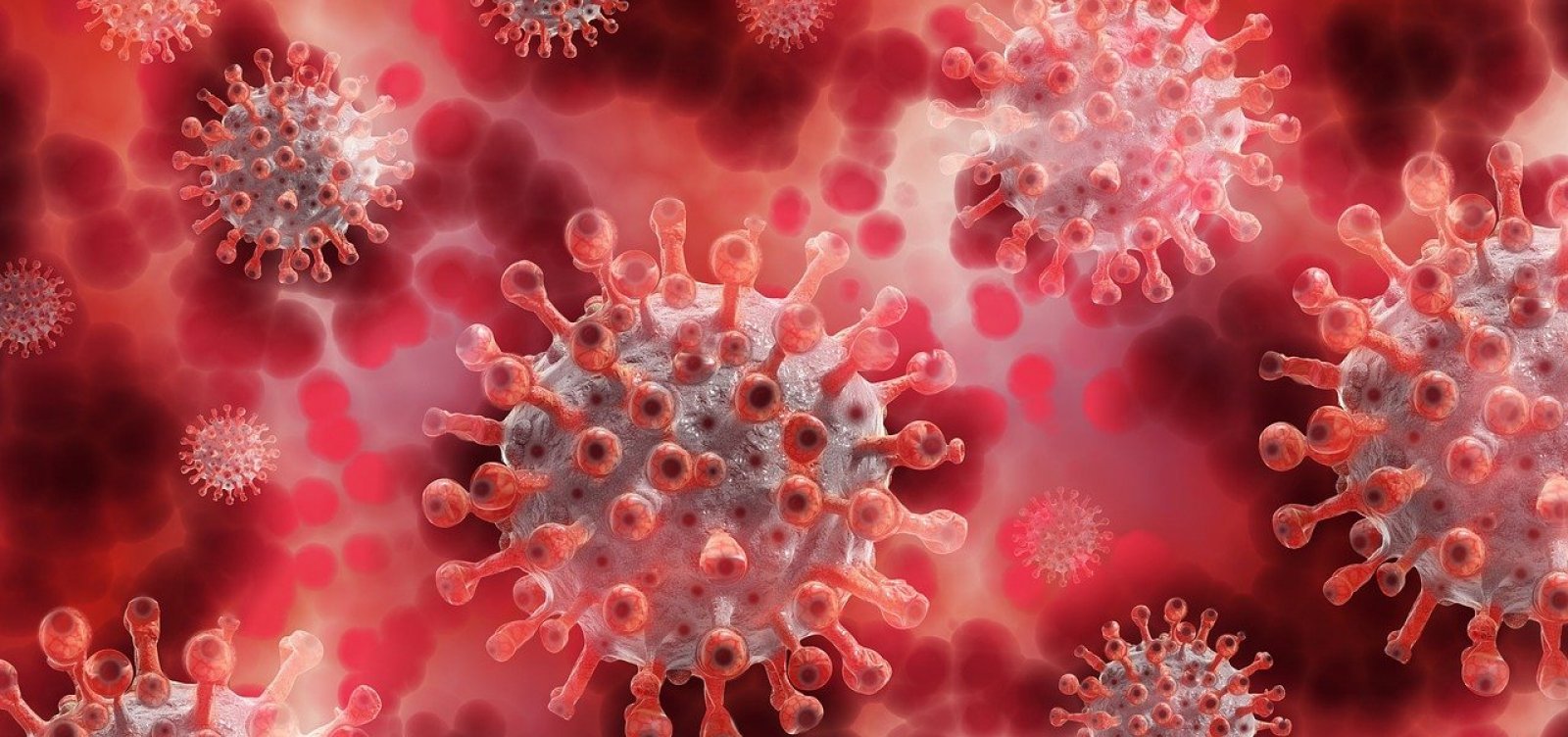 Sem mortes em 24h por Covid, Salvador registra 97 novos casos da doença