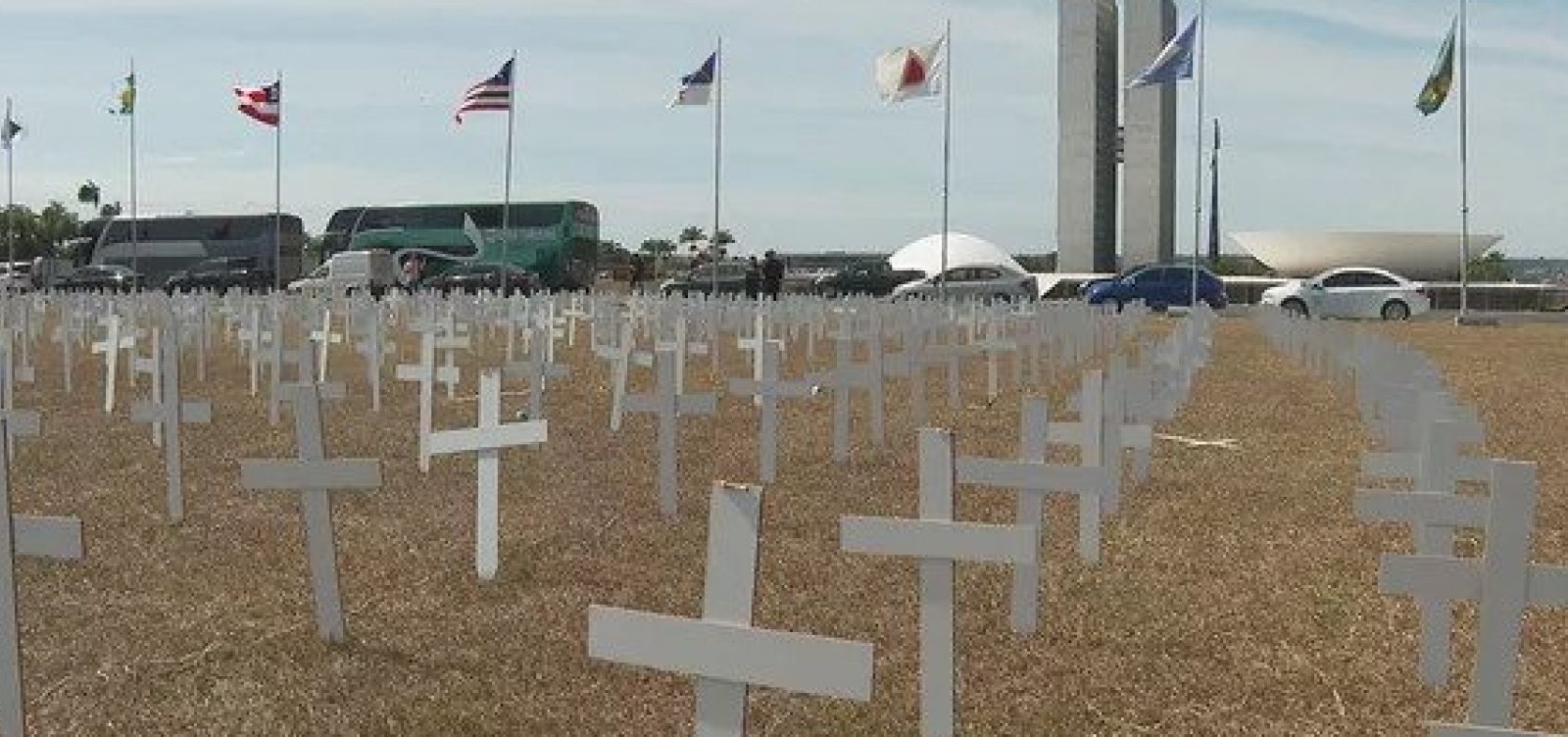 Cruzes são colocadas na Esplanada em protesto de Hospitais Filantrópicos e Santas Casas
