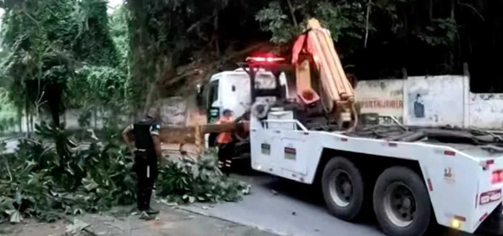 Fortes rajadas de vento na madrugada causam quedas de árvores em Salvador