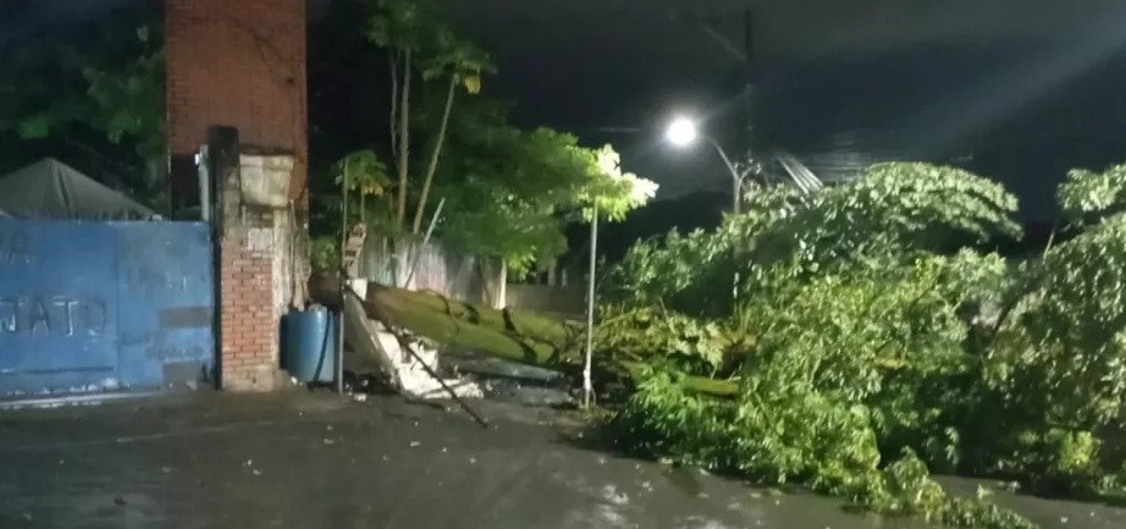 Árvore cai e derruba poste e muro no bairro da Mata Escura, em Salvador