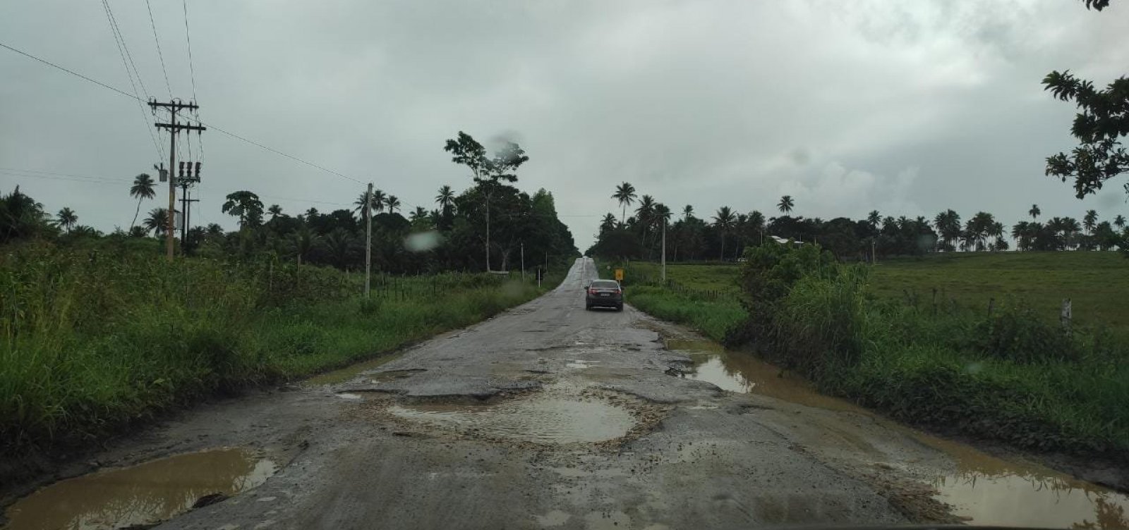 Buraqueira toma conta de trecho da BA-233 entre Conde e Esplanada