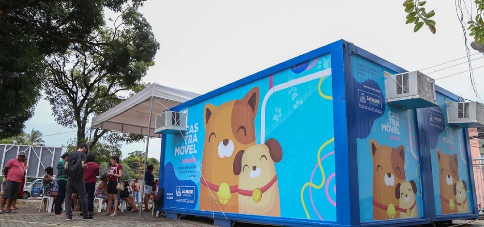 Castração gratuita de cães e gatos poderá ser feita no Parque da Cidade a partir de segunda-feira