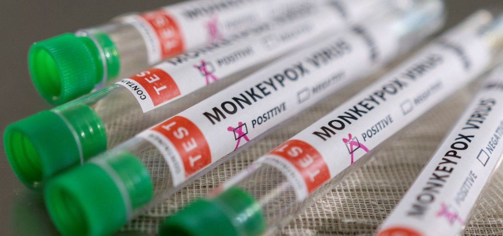 Ministério da Saúde confirma mais dois casos de varíola dos macacos no país