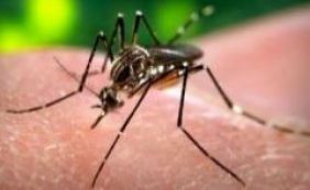 Rússia anuncia primeiro caso de Zika no país
