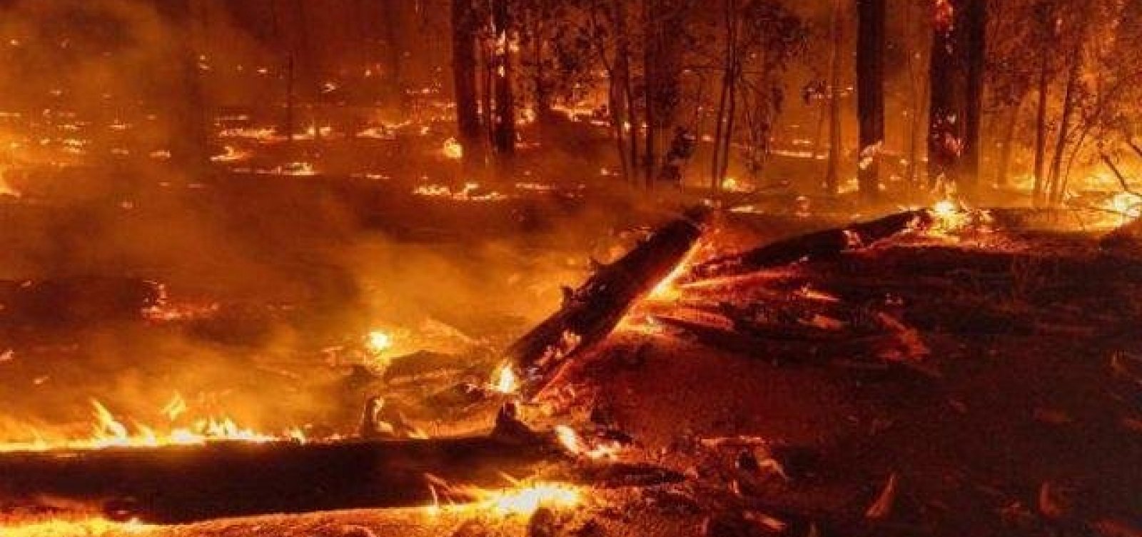 Incêndio florestal avança e já é maior da temporada na Califórnia