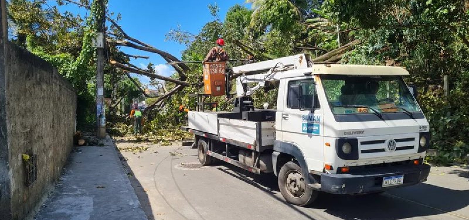 Árvore de grande porte cai na Av. Aliomar Baleeiro e bloqueia trânsito na região