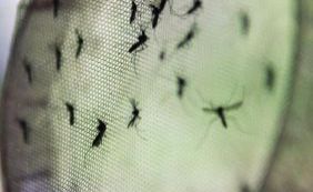 Governo Federal realiza campanha contra o Aedes em escolas nesta sexta-feira