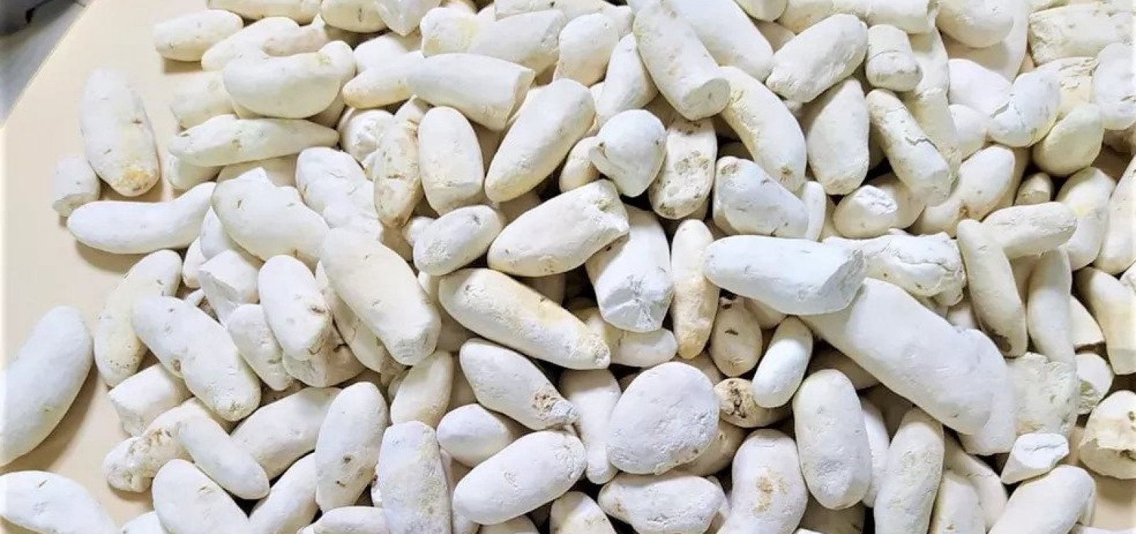 Boliviana é presa transportando cocaína em batatas falsas na Bahia