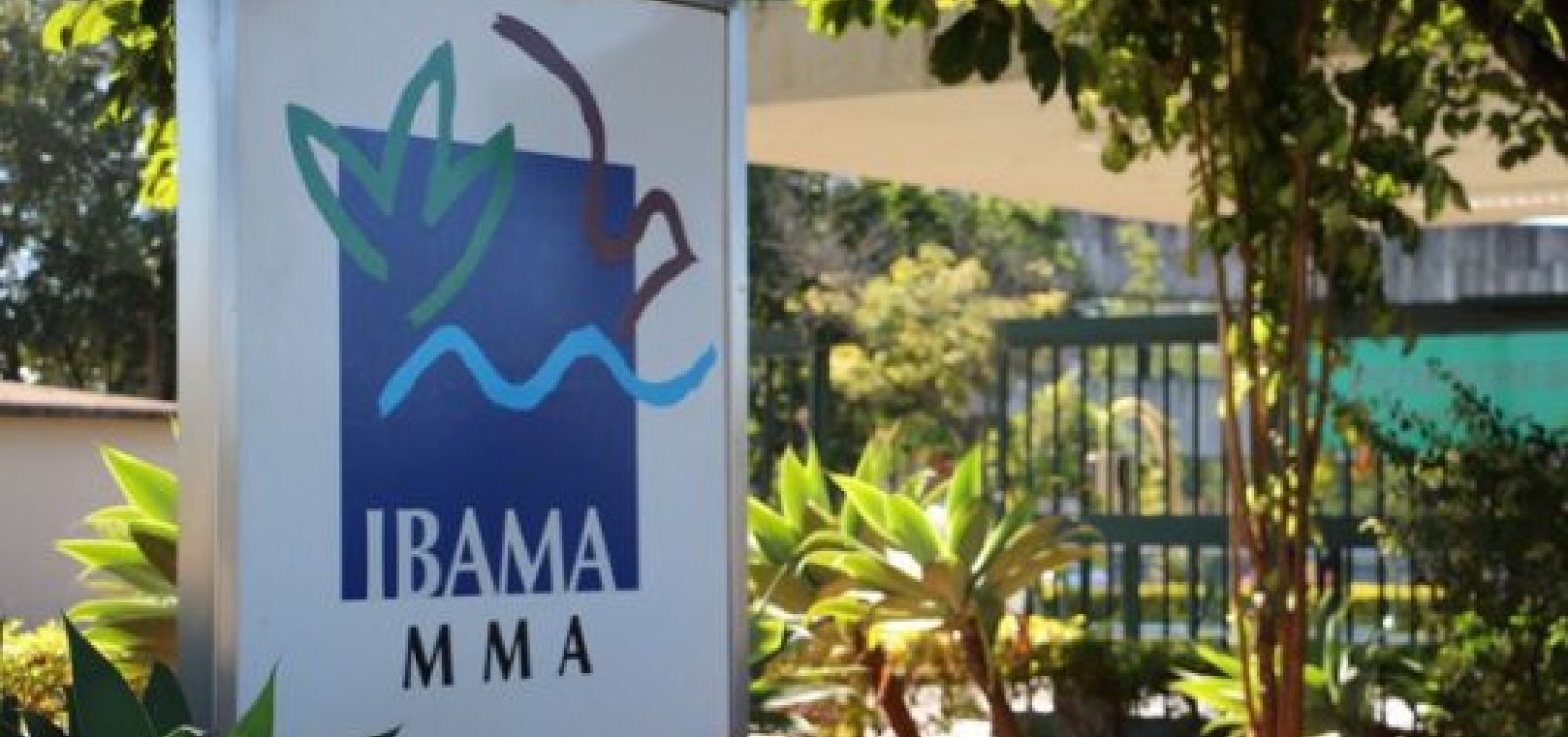 Governo exonera diretor de Proteção Ambiental do Ibama