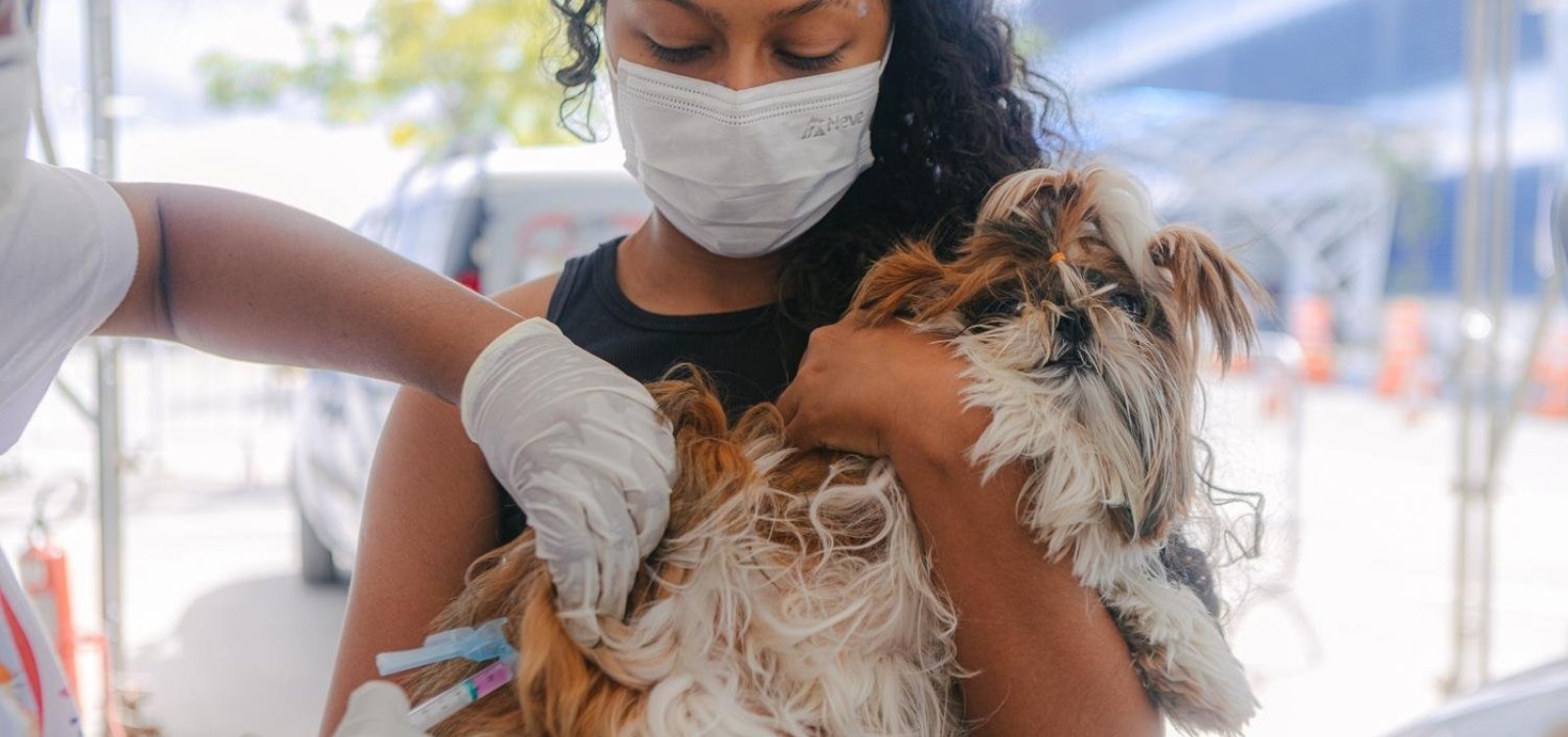 Com drive-thru, Salvador promove vacinação contra raiva para cães e gatos neste fim de semana