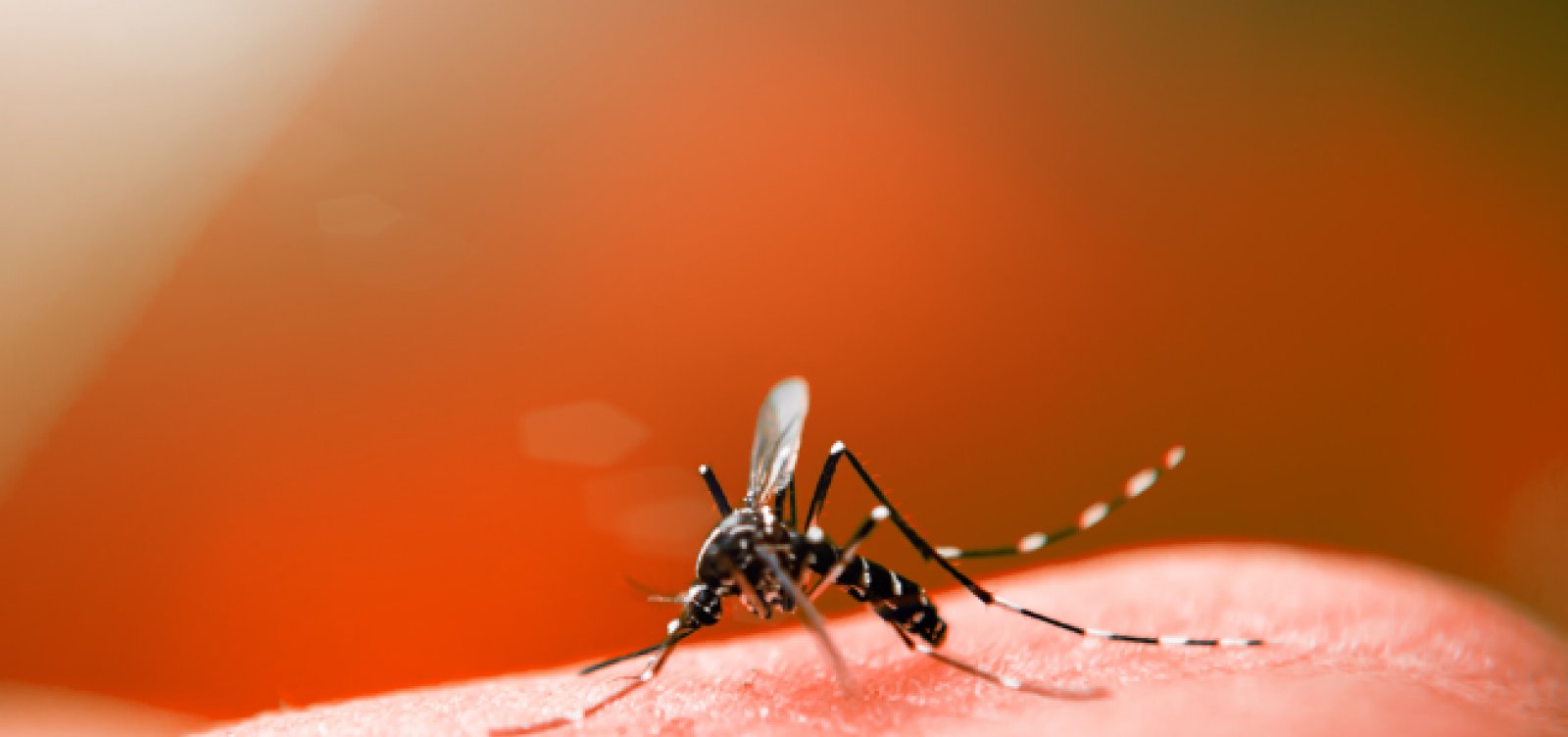  Salvador tem aumento de 156% nos casos de dengue