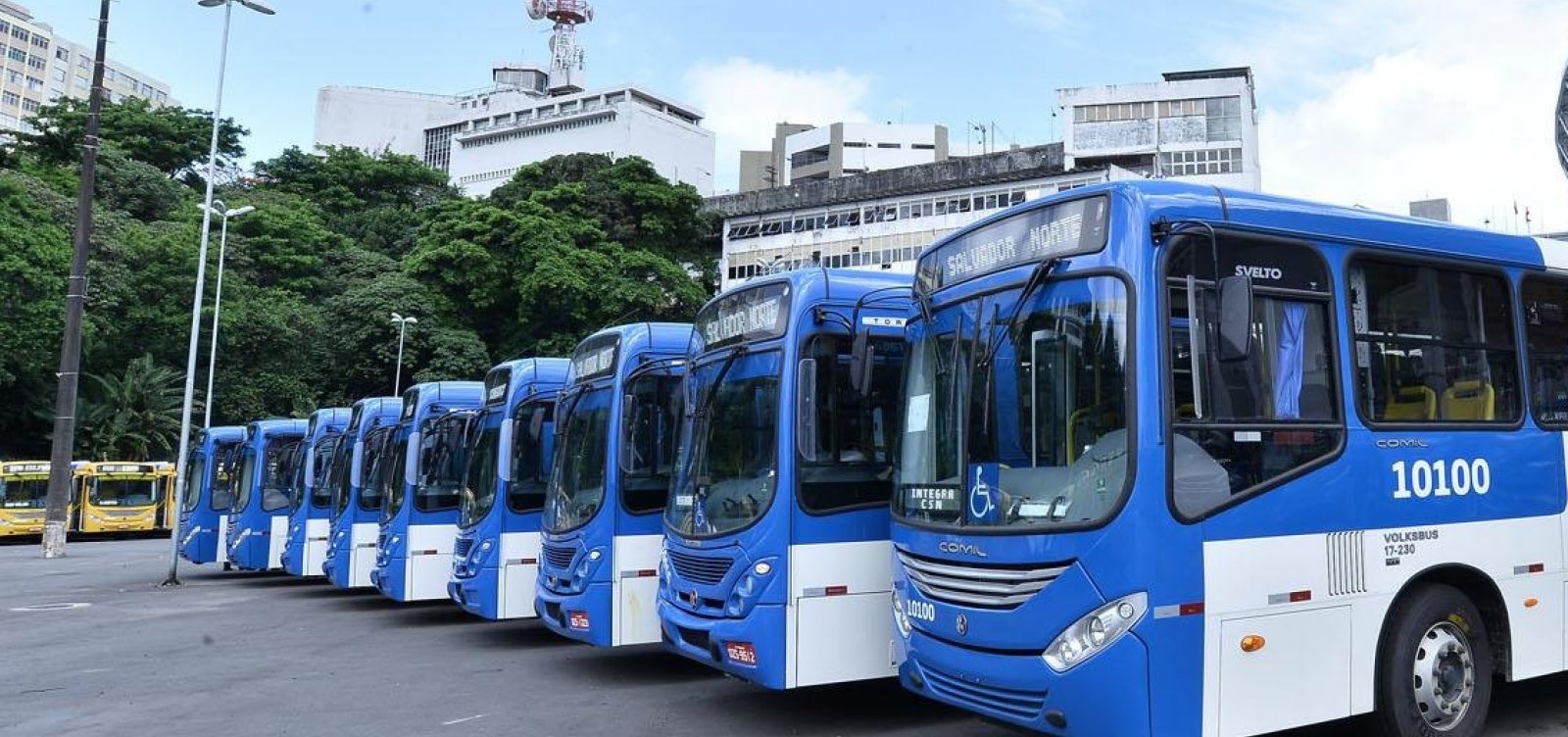 Salvador terá funcionamento gratuito de ônibus no dia das eleições 