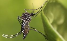 França anuncia caso de Zika com suspeita de transmissão por relação sexual