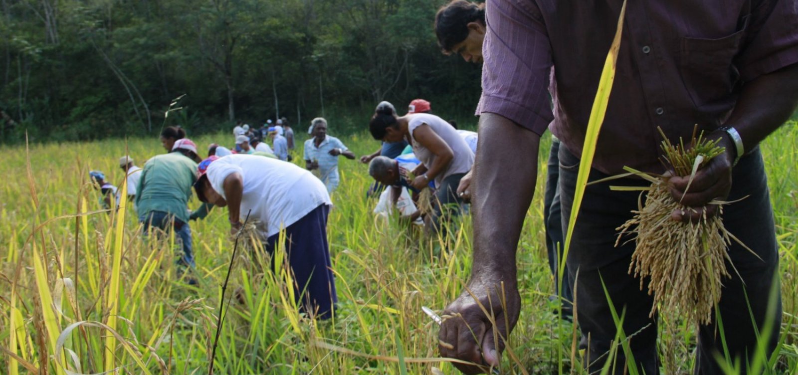 MPF Ajuíza Ações Para Titulação De Territórios Quilombolas De Sambaíba ...