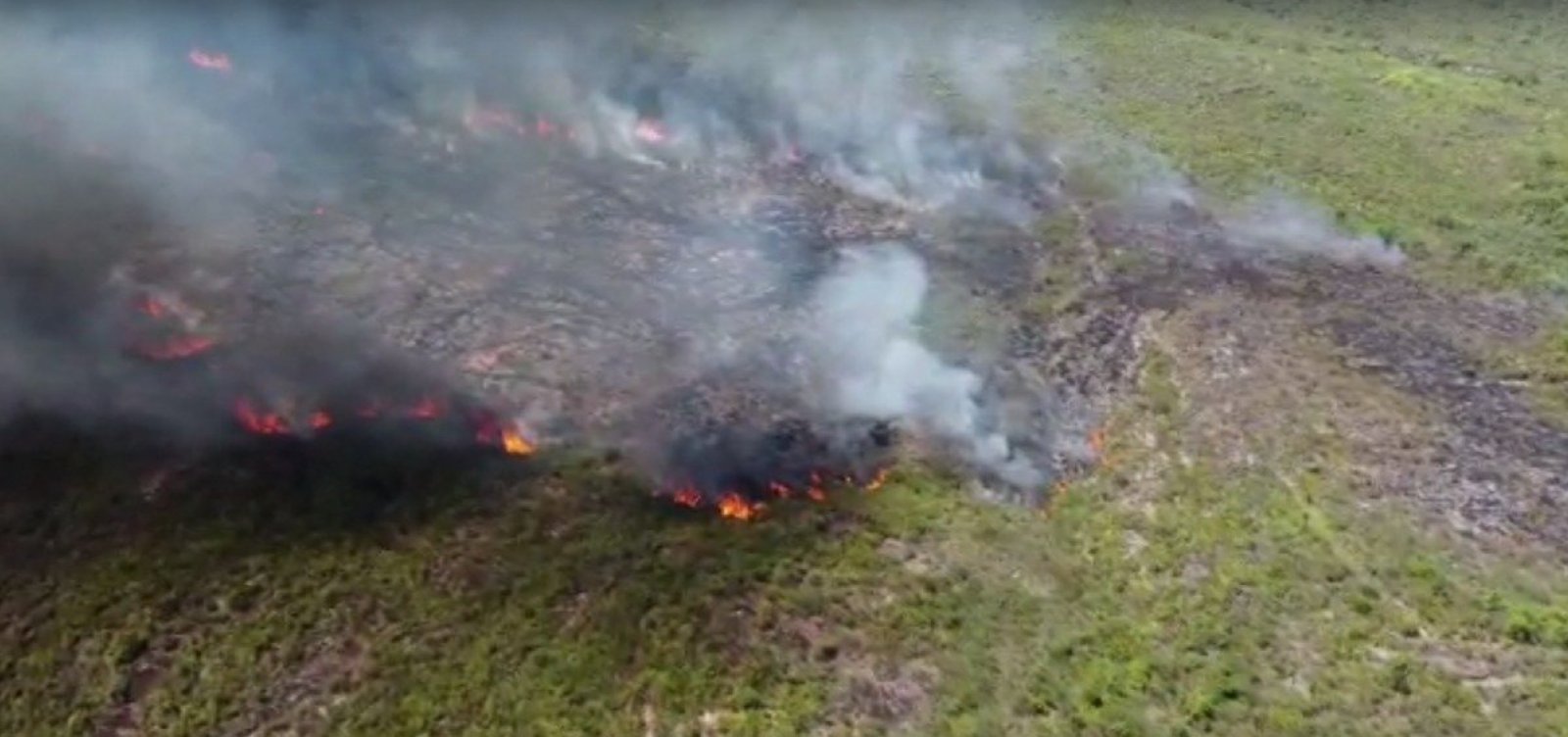 Fogo se espalha rapidamente em região da Chapada Diamantina; voluntários pedem doações