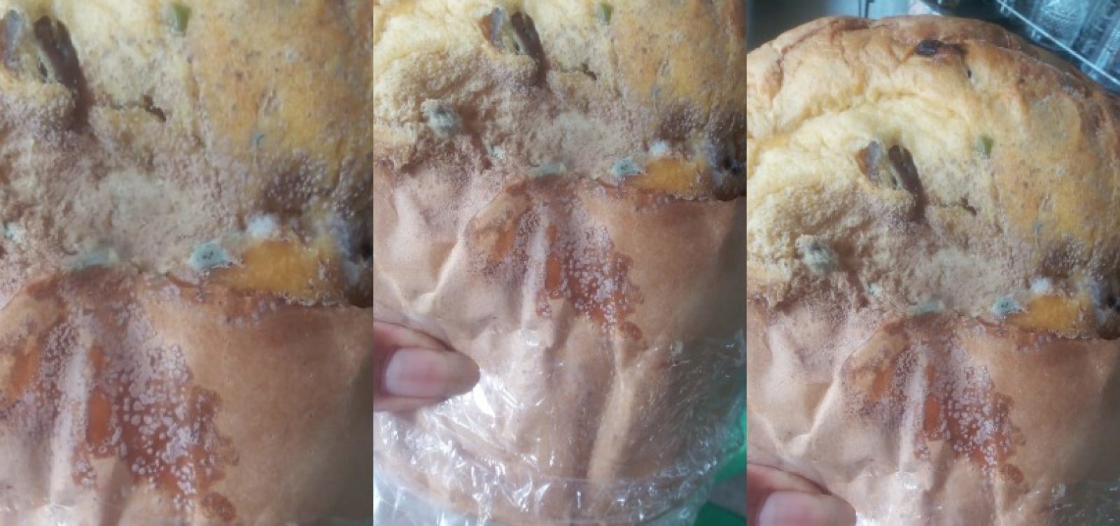 Após entregar panetones mofados, prefeitura de Camaçari diz que vai repor unidades 