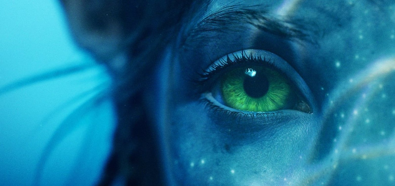Avatar 2: Sequência da maior bilheteria da história do Cinema estreia em Salvador; confira programação