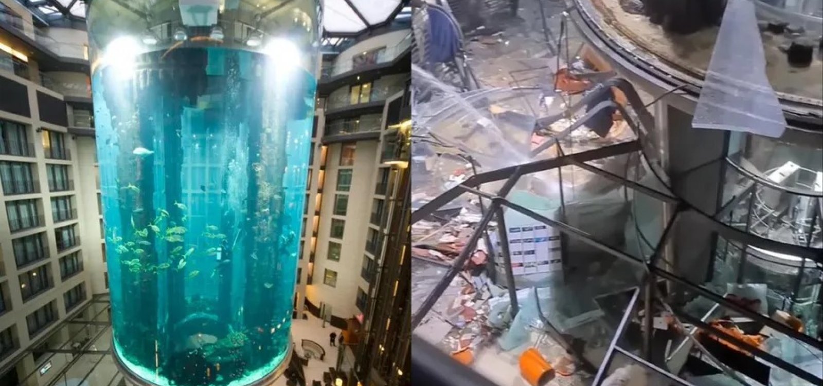 Aquário gigante com peixes exóticos estoura e bichos caem em avenida movimentada