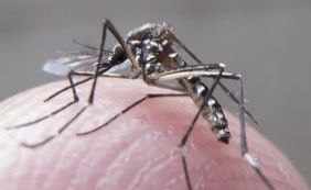 Em novo boletim, Sesab aponta 13 novas mortes por suspeita de microcefalia