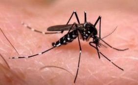 Agentes da Semop percorrem bairros de Salvador em combate ao Aedes