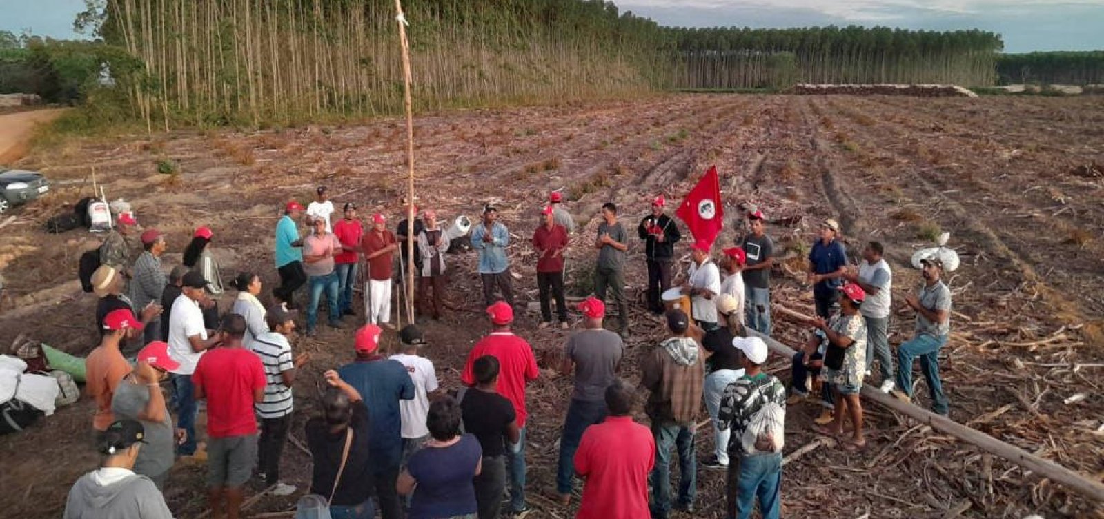 Três fazendas exportadoras de celulose são invadidas pelo MST no extremo Sul da Bahia