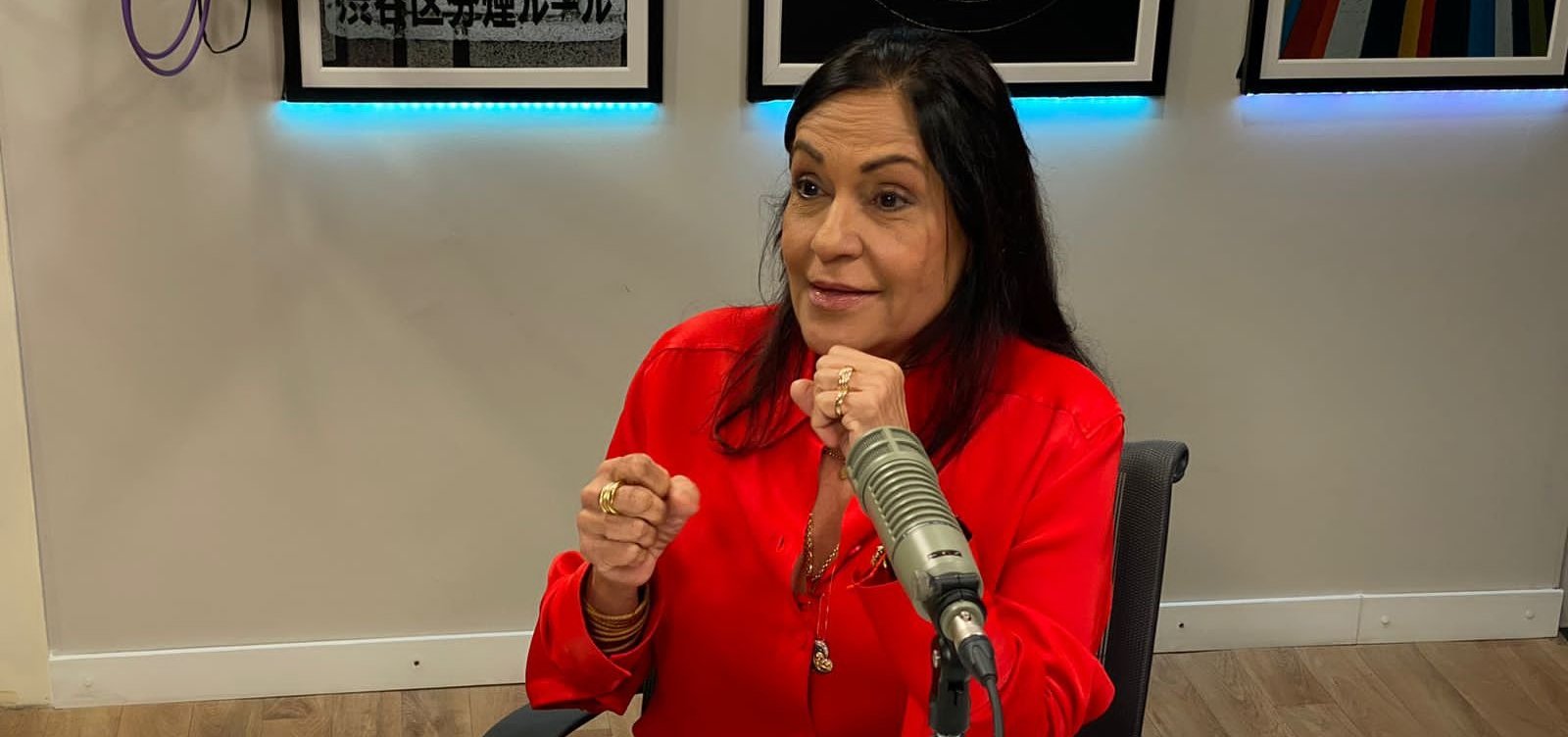 "Ia dar problema se Gabrielli fosse candidato ao governo em 2014", diz Fátima Mendonça