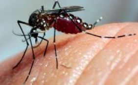 Zika: São Paulo registra primeiro caso autóctone do vírus