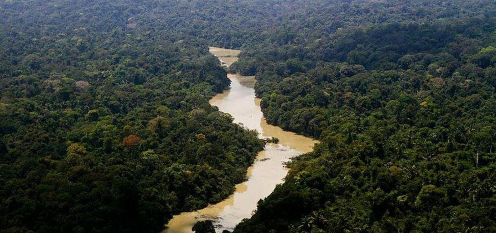 Reativado, Fundo Amaz&ocirc;nia deve receber R$ 2,5 bilh&otilde;es dos Estados Unidos