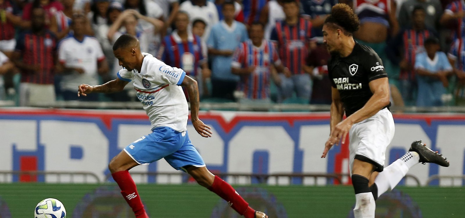 Bahia perde em estreia na Fonte Nova e Botafogo mant&eacute;m 100% no Brasileir&atilde;o