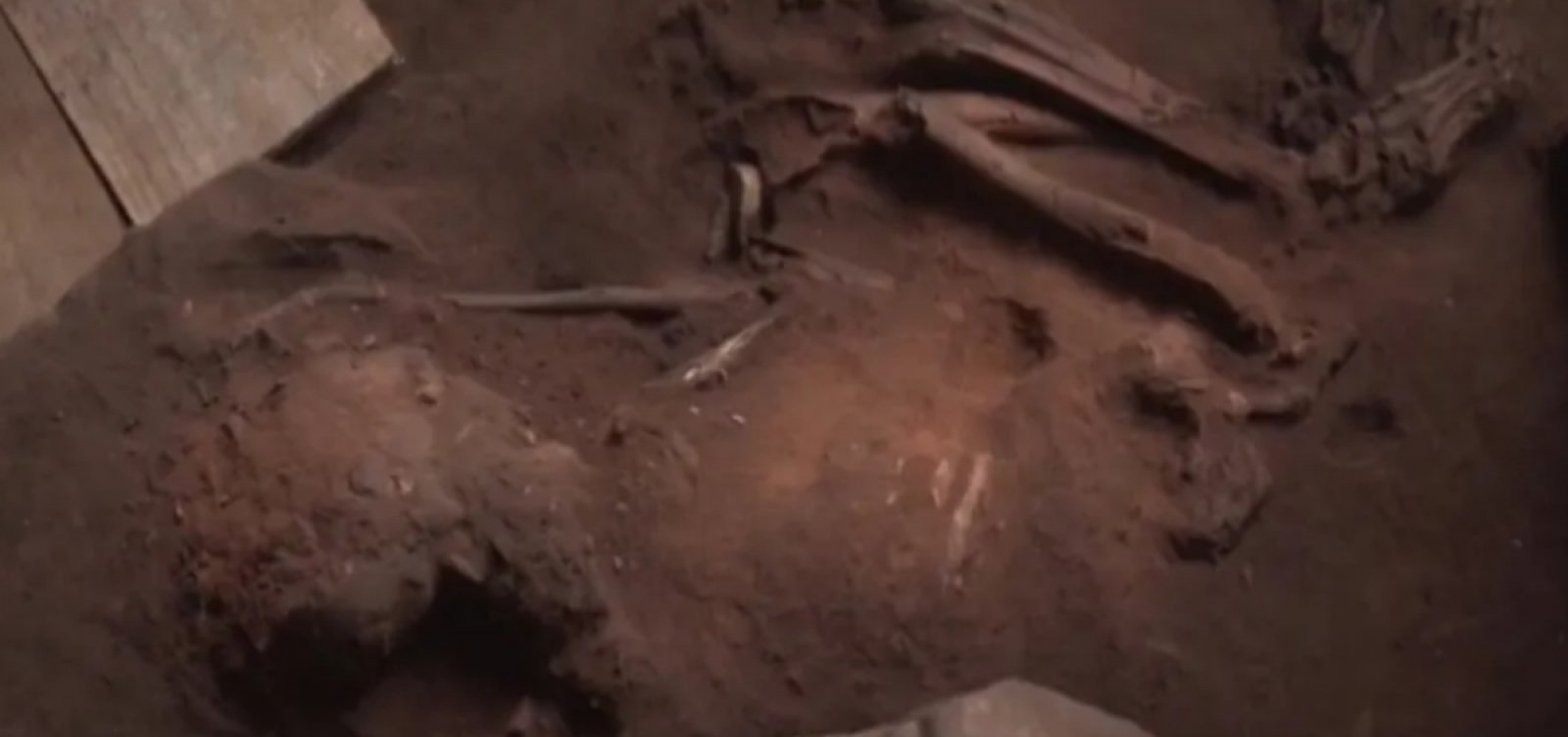 Fóssil de quase 12 mil anos é encontrado em Goiás