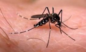 Fiscalização do Crea lança campanha de prevenção ao Aedes aegypti na Bahia