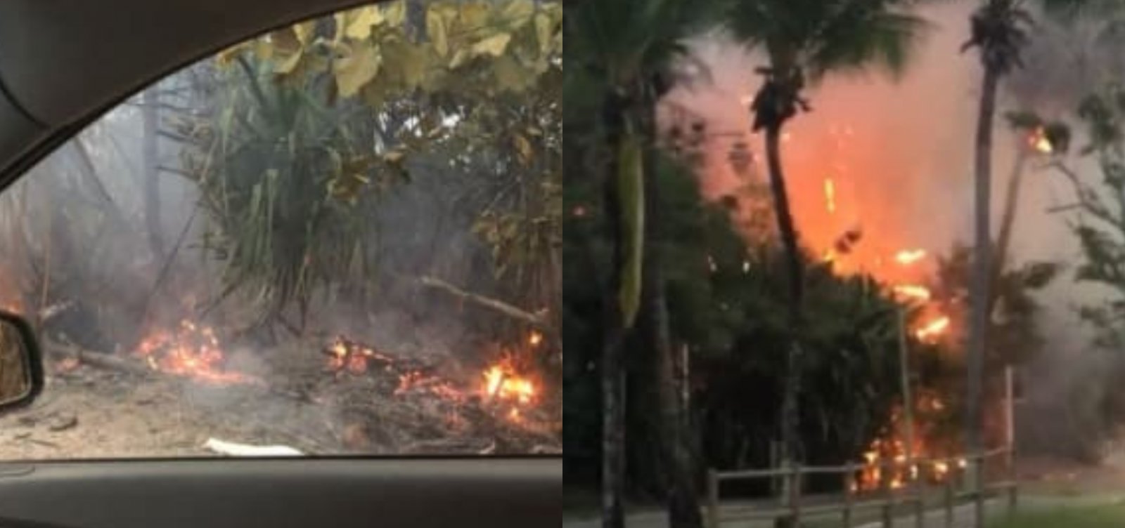 Incêndio é registrado próximo a resort em Praia do Forte 