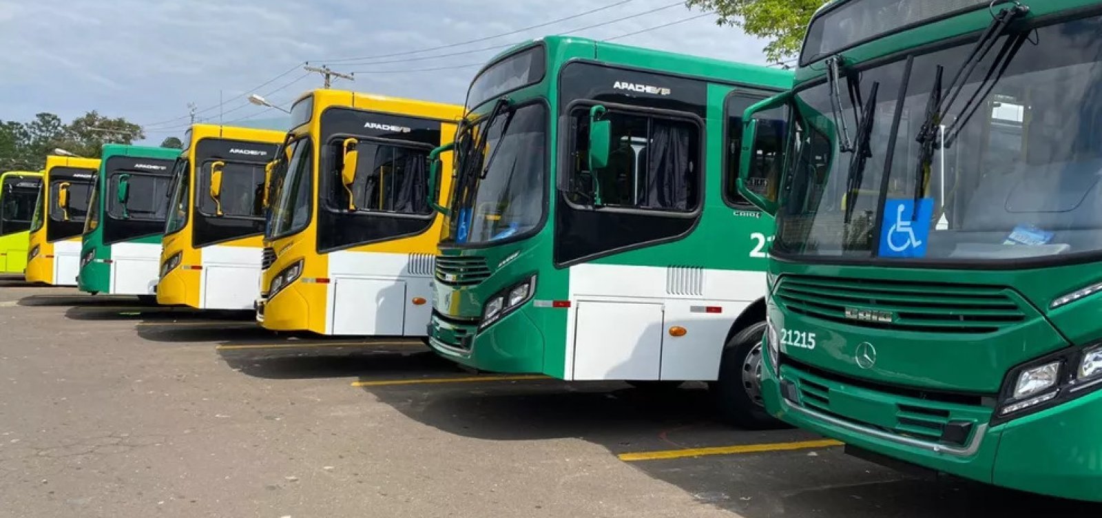 Prefeitura disponibiliza linha de ônibus intramunicipal em São Gotardo -  Prefeitura de Caxias do Sul