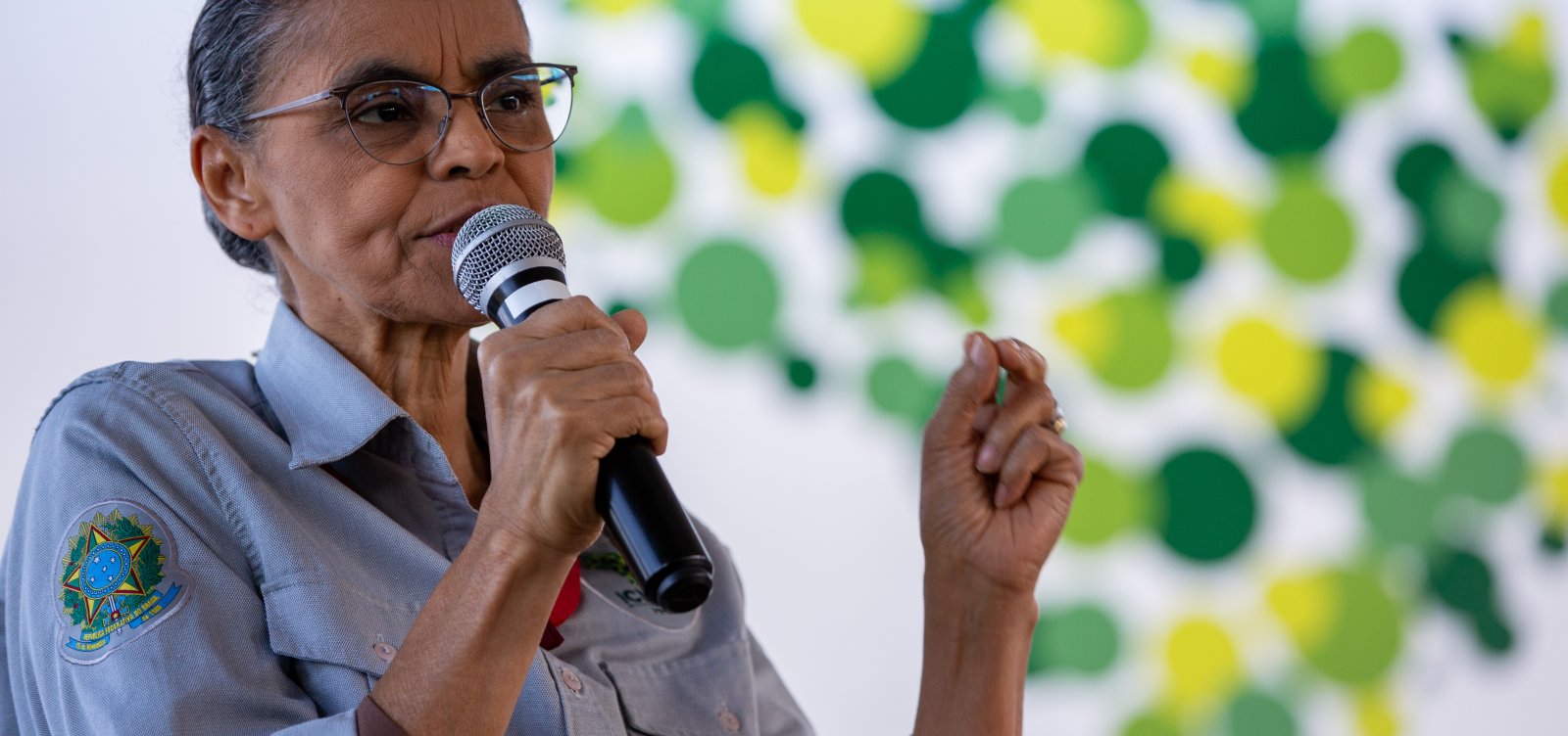 Marina revela que Lula decidiu vetar MP da Mata Atlântica