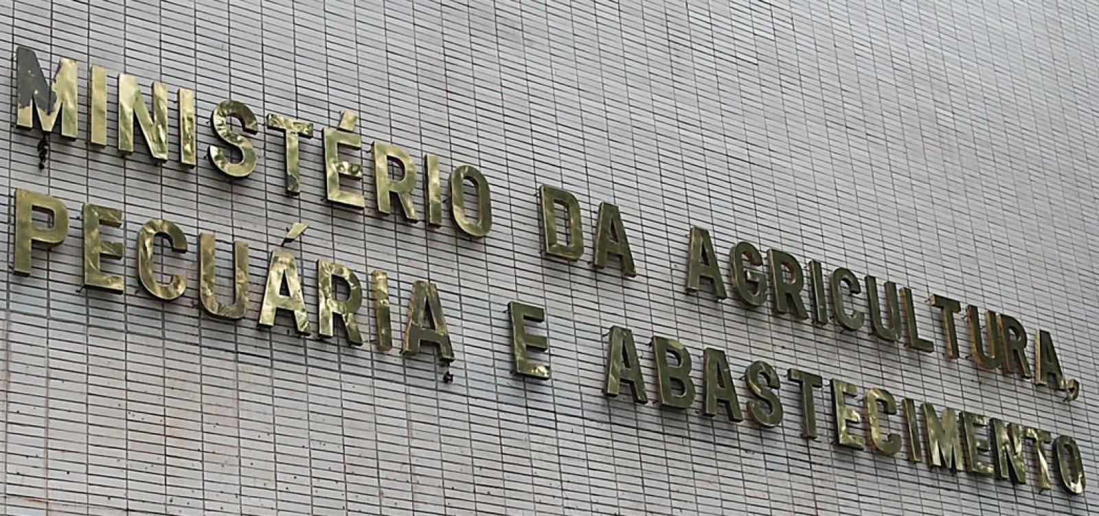 Ministério anuncia mais 5 ocorrências de gripe aviária no Brasil, número total eleva para 30