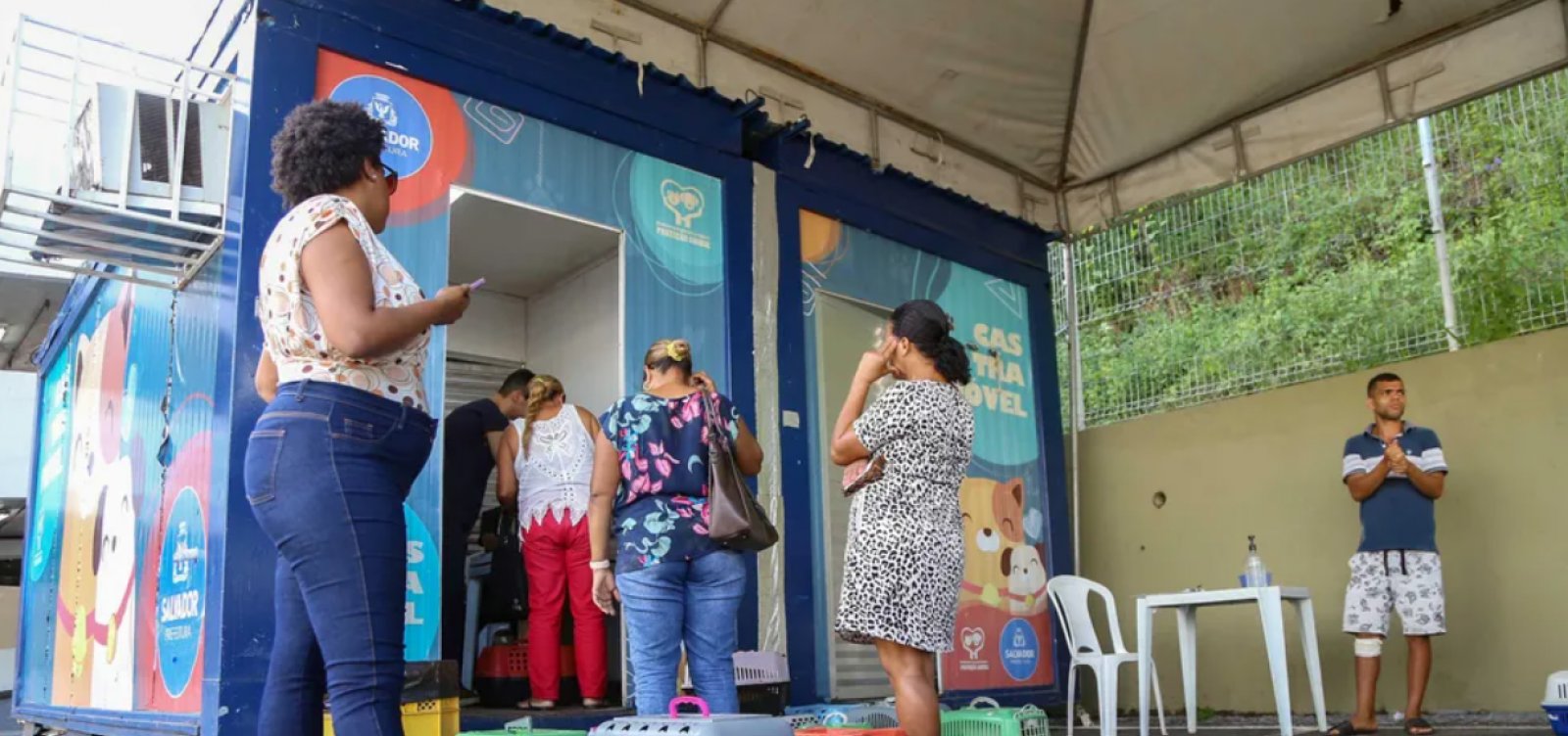 Castramóvel inicia atendimento no Jardim Botânico, em Salvador, nesta segunda; confira detalhes