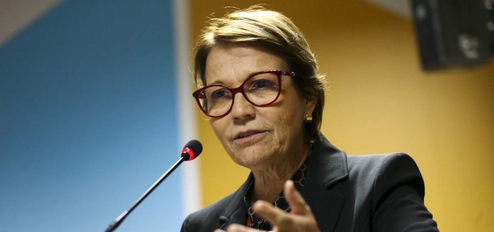 "Se tiver PP no governo Lula, não será indicação do partido", diz Tereza Cristina 