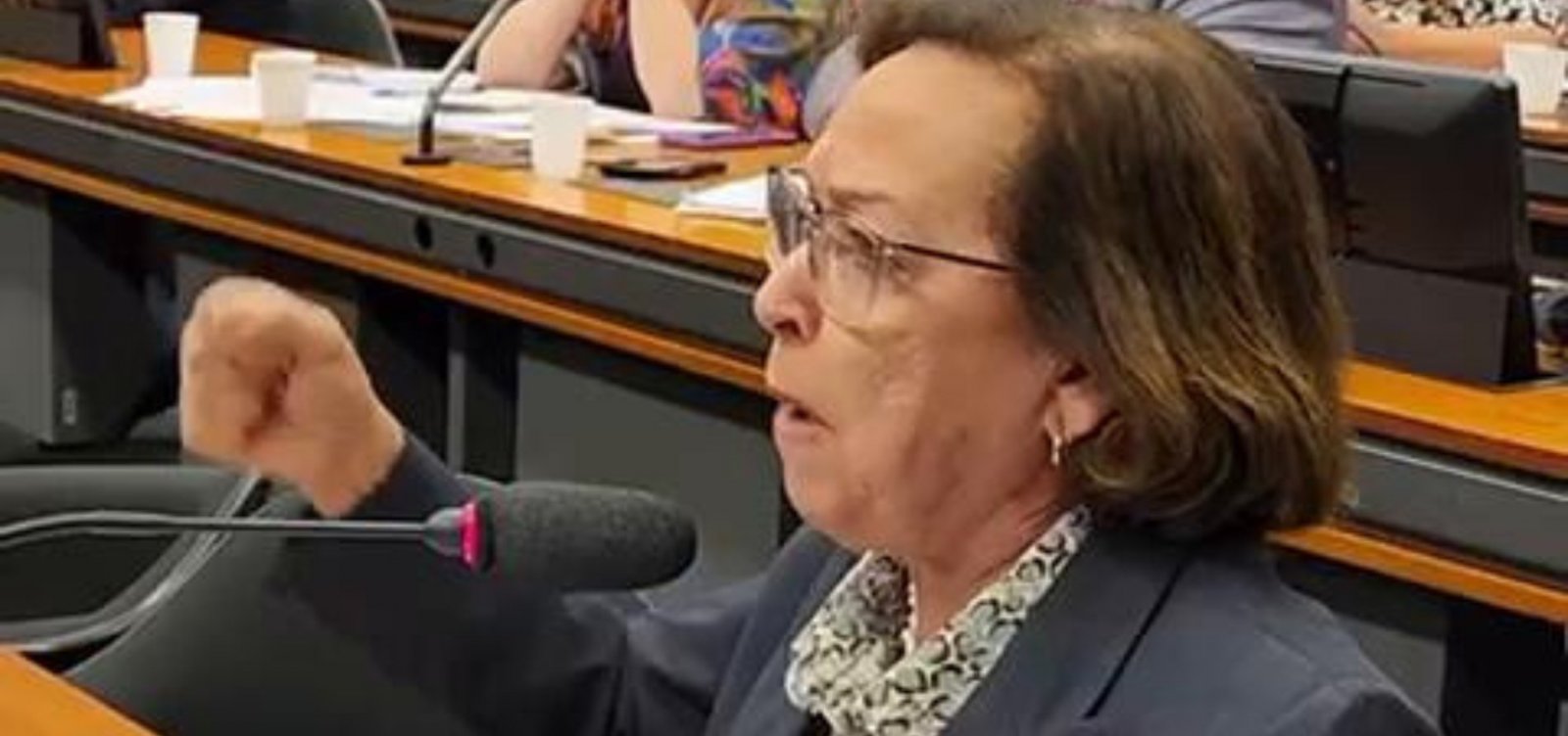 Lídice da Mata sai em defesa de Rui Costa e discute com deputado do PL: “Se respeite"