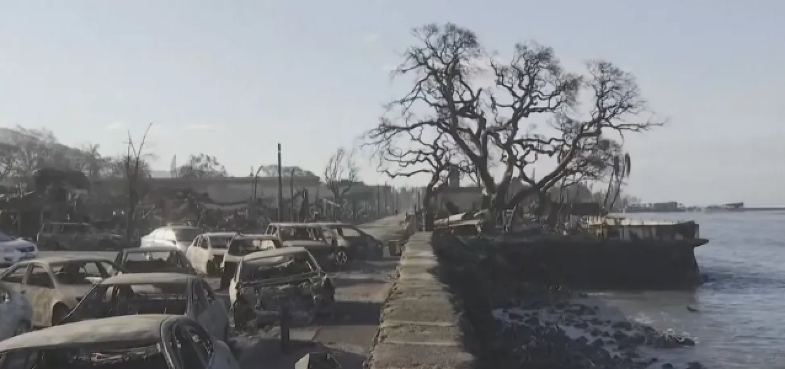 Incêndio florestal no Havaí é o mais mortal dos EUA em mais de um século