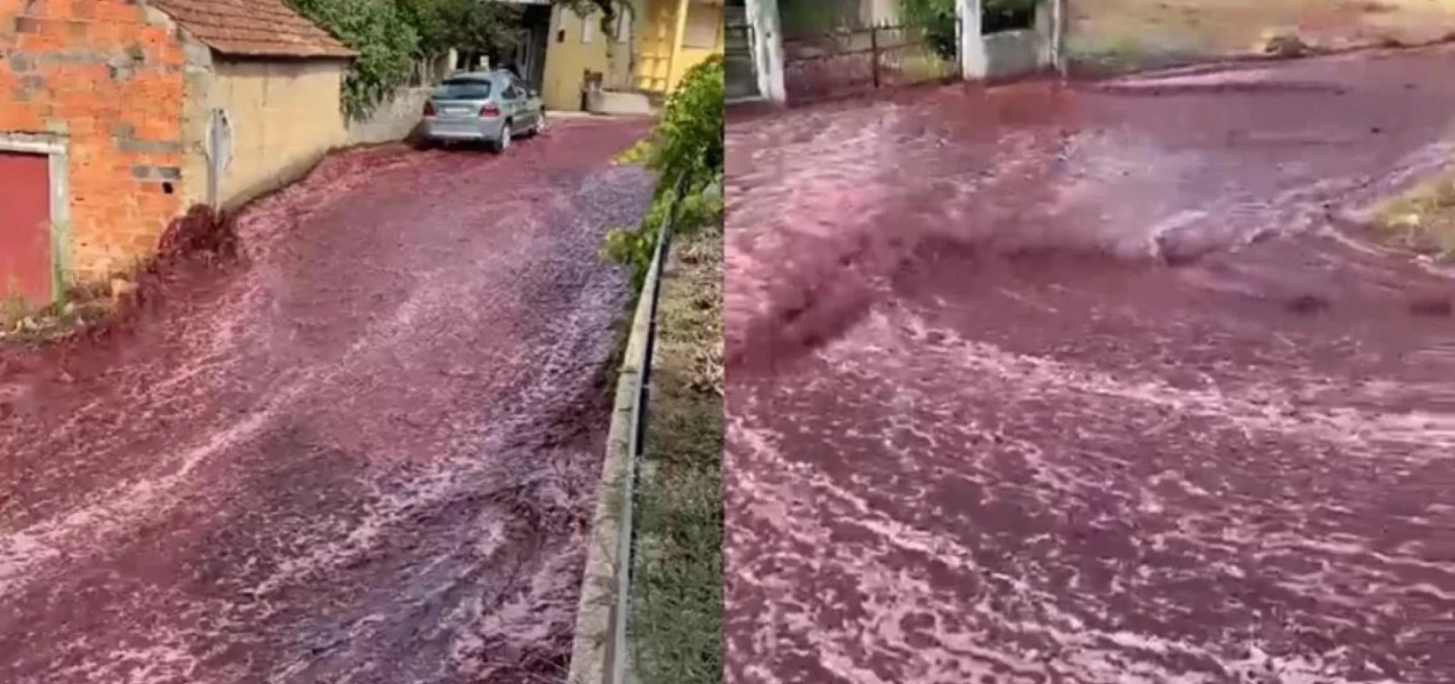 Cidade portuguesa é inundada por 'rio' de vinho tinto após depósito estourar; veja vídeo 