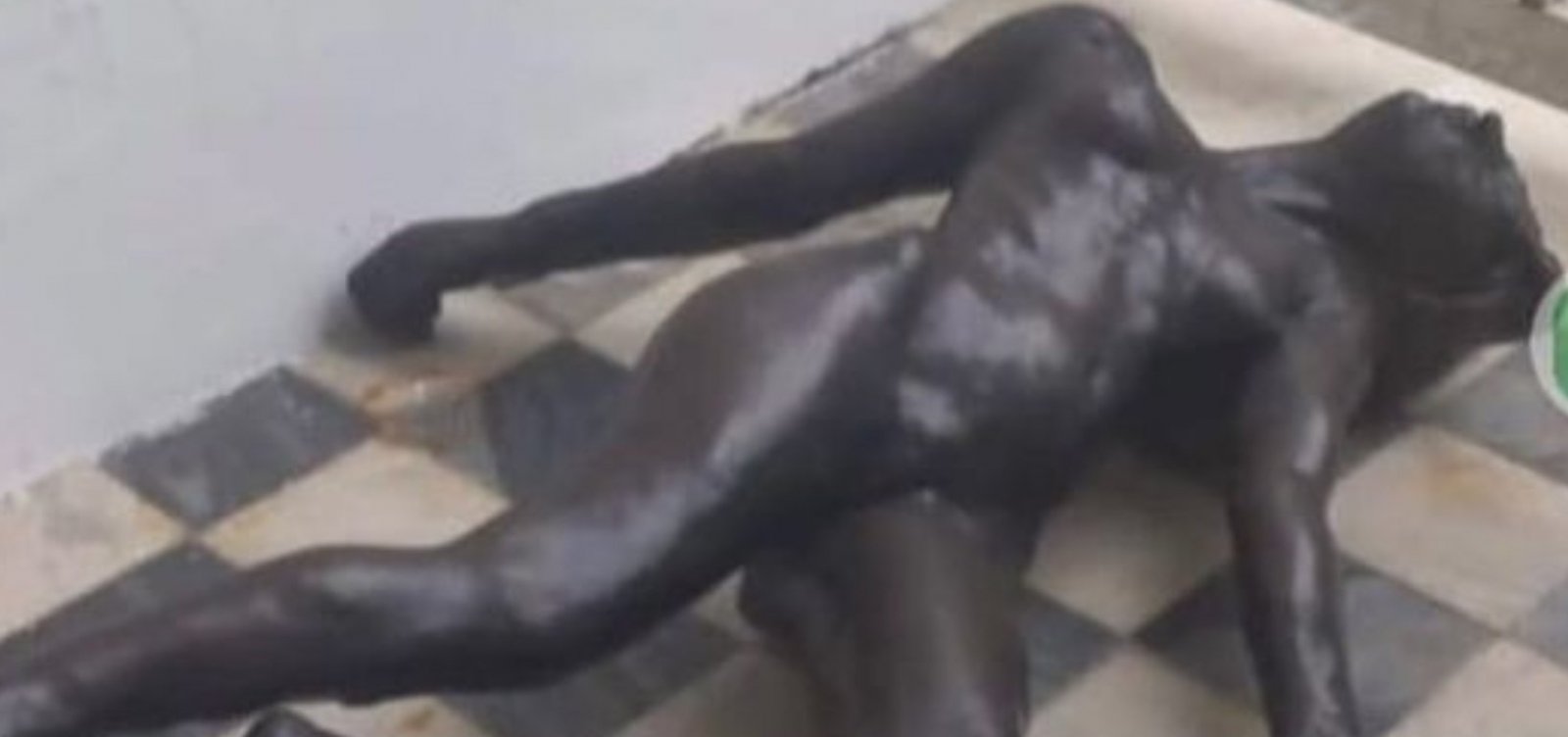 Obras de Rodin aparecem abandonadas em imagens, mas museu nega e garante que estão preservadas