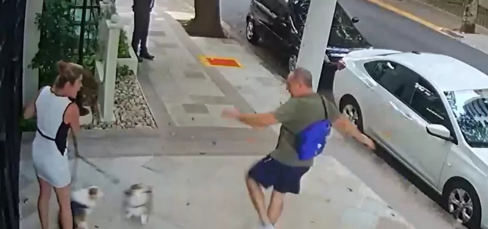 Homem chuta cachorros da irmã de ministro do STF, Cristiano Zanin; agressões também a atingiram